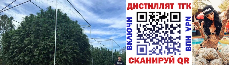 Дистиллят ТГК Wax  Железноводск 
